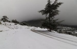 ثلوج وامطار رعدية على هذه الولايات اليوم الخميس