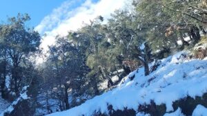 ثلوج وأمطار غزيرة على هذه الولايات