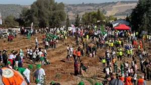 انطلاق حملة وطنية لغرس 5 ملايين شجيرة