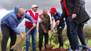 Ooredoo الجزائر تجند متطوعيها للحملة الوطنية الكبرى لغرس 5 ملايين شجرة