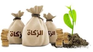 هذا هو نصاب الزكاة للسنة الهجرية الجديدة